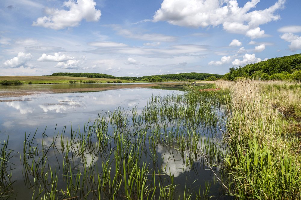 Летнее отражение