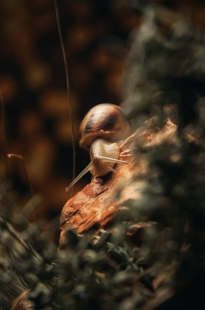 Photograph by Михаил Курихин