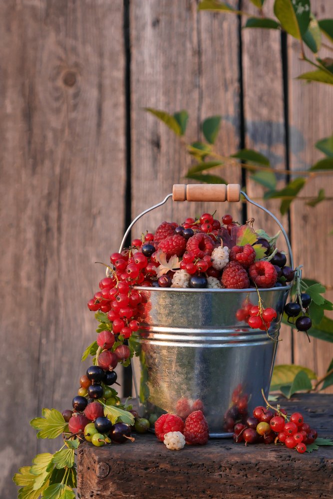 Ягодный цвет