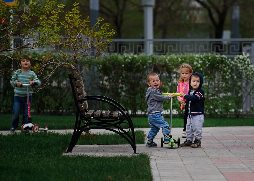 Не поделили