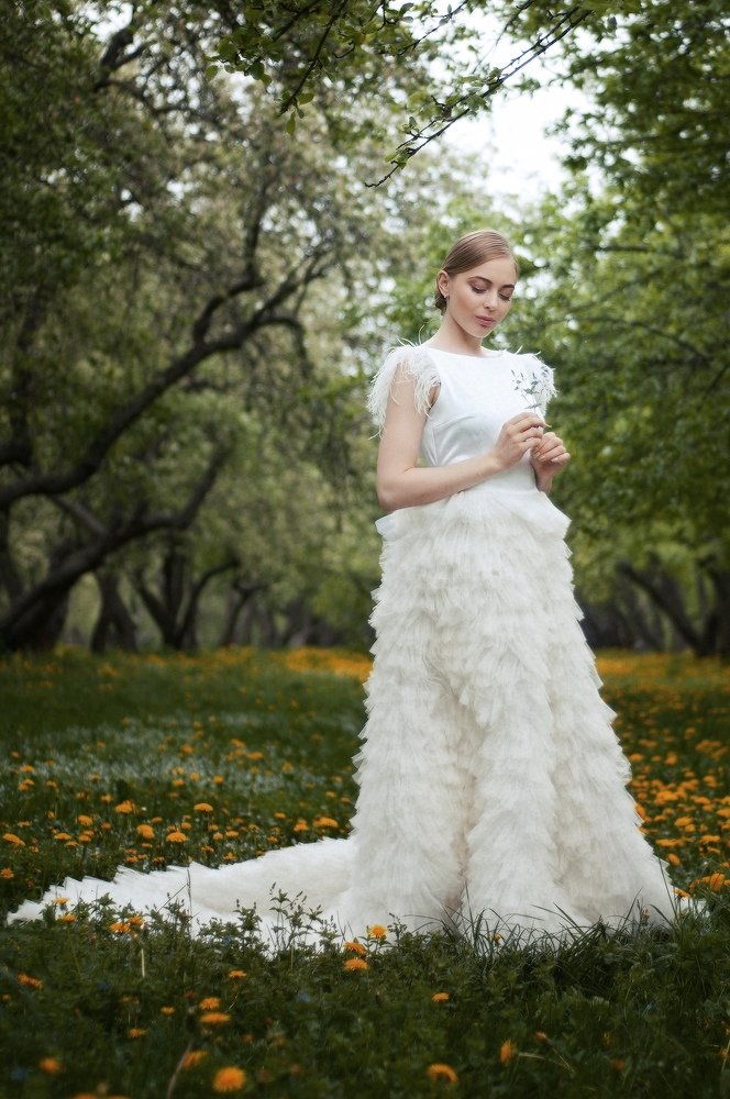 В яблоневом саду