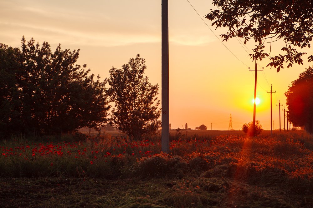 Photograph by Евгения