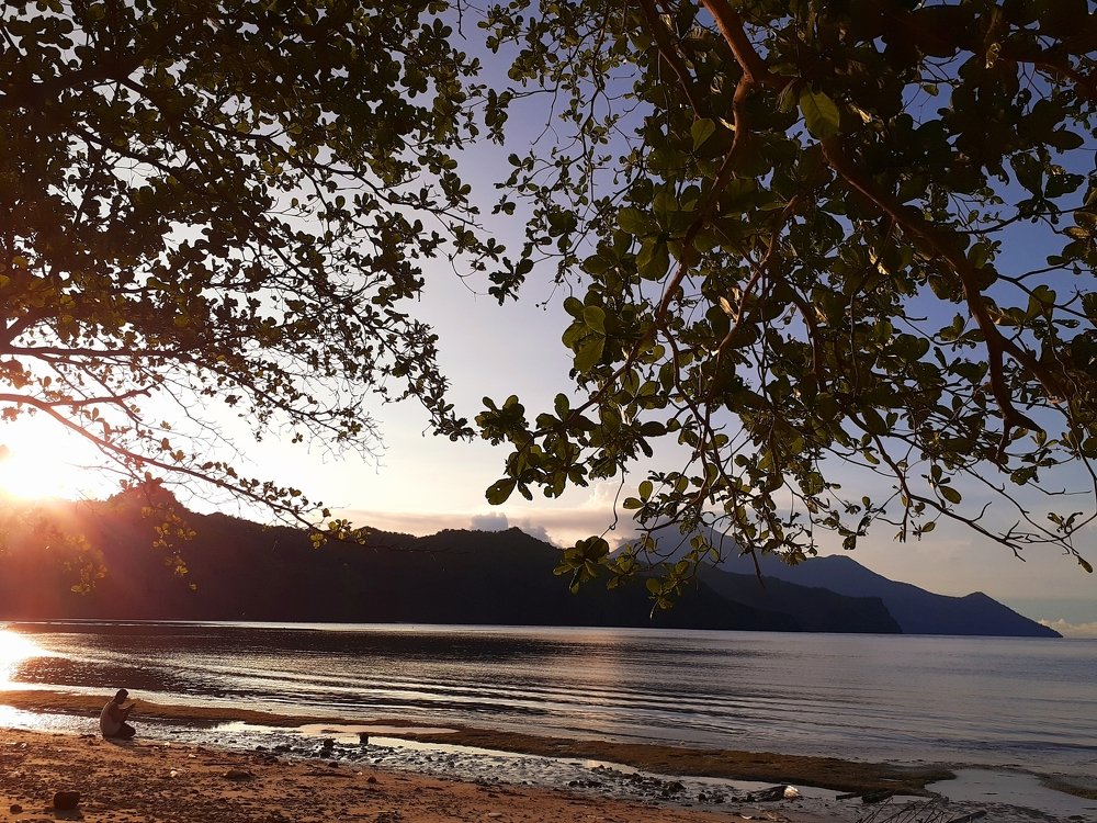 When the night is coming