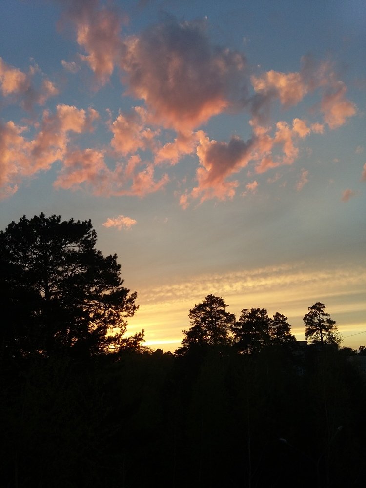 Photo #3358403