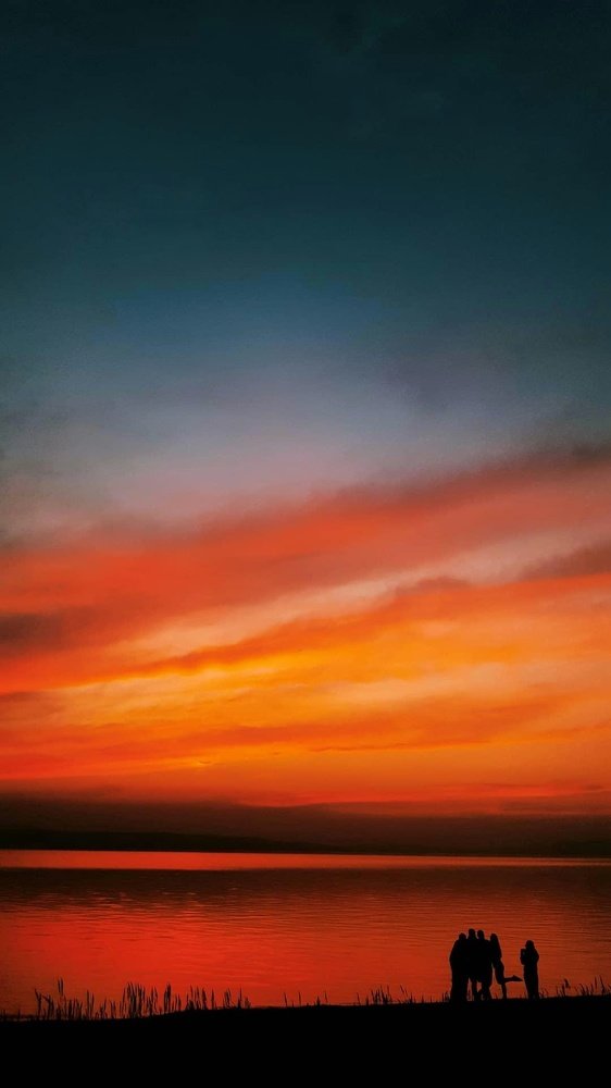 Друзья на озере