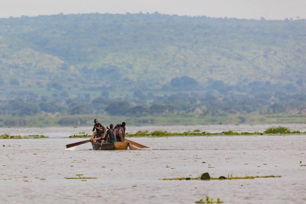 Fishermen toil with their net
