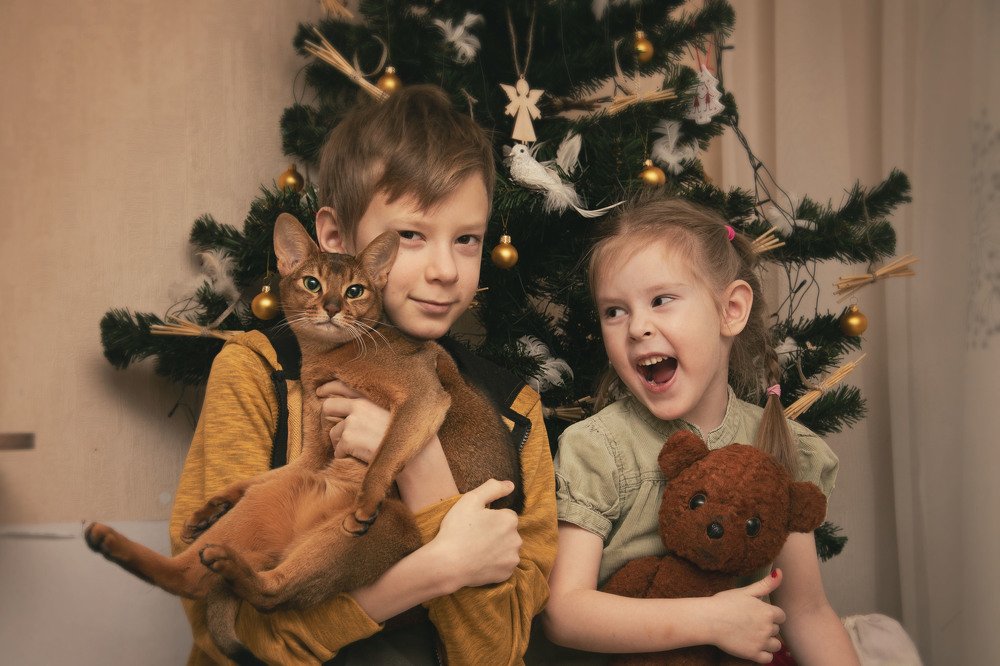 Женщинами рождаются...