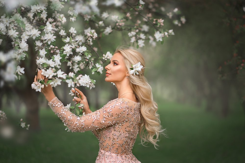 Весенняя рапсодия