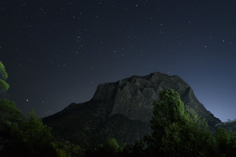 Горный нимб