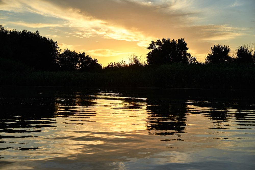 Рассветная гладь