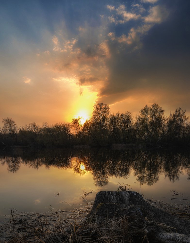 Родное Подмосковье