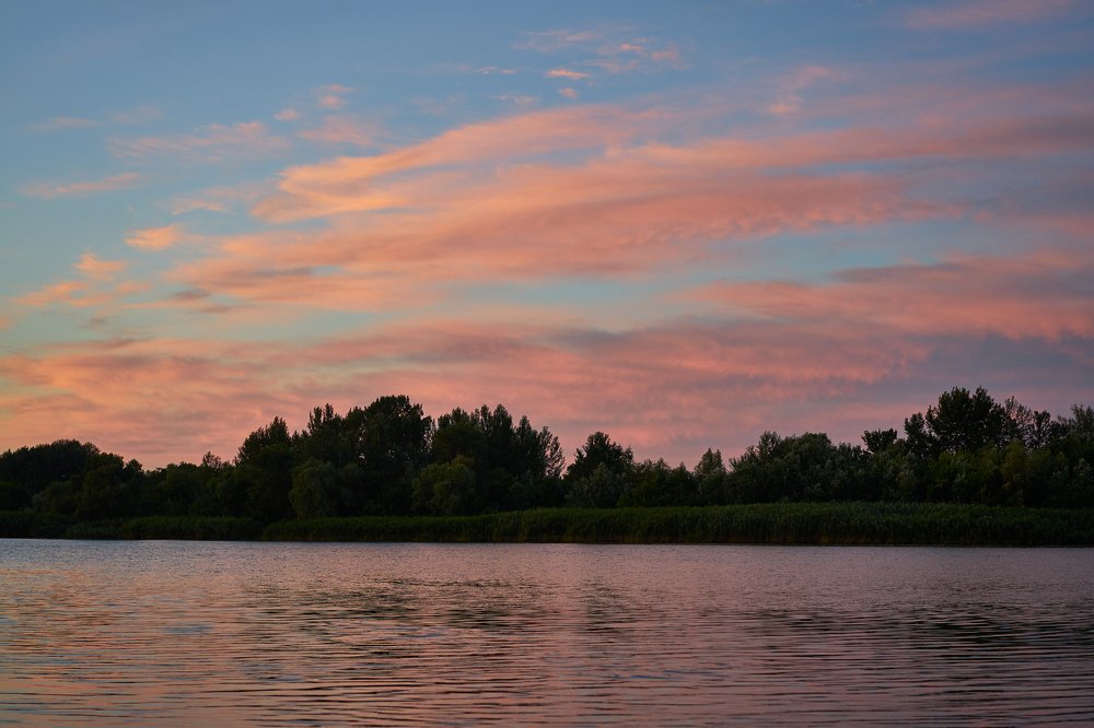 Пурпурный рассвет