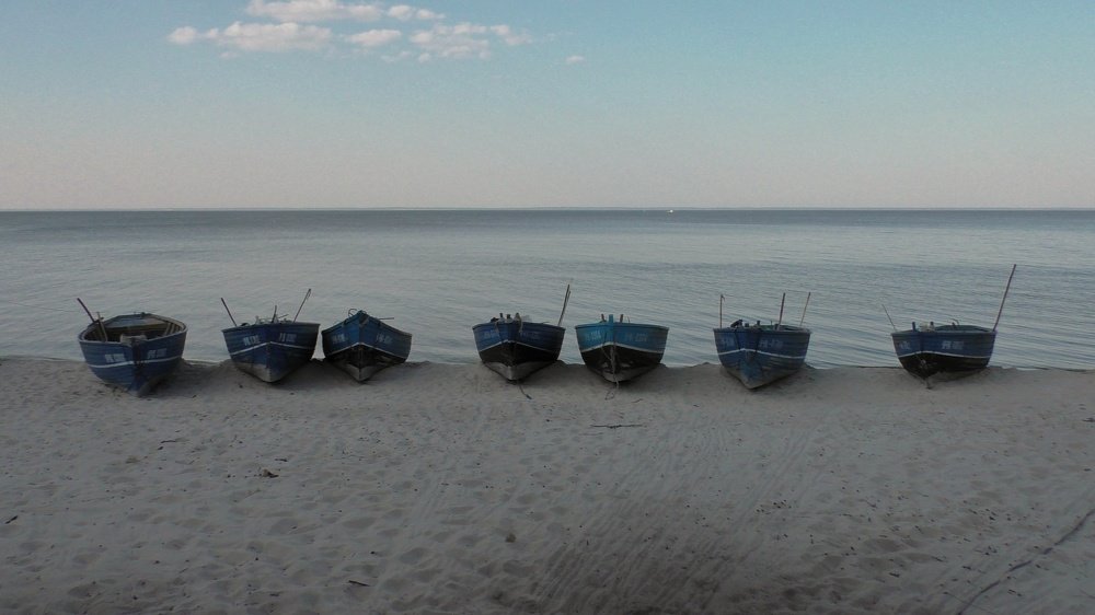 Photo #3359046