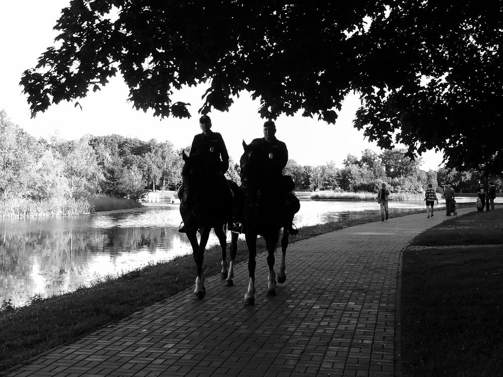 Конная полиция