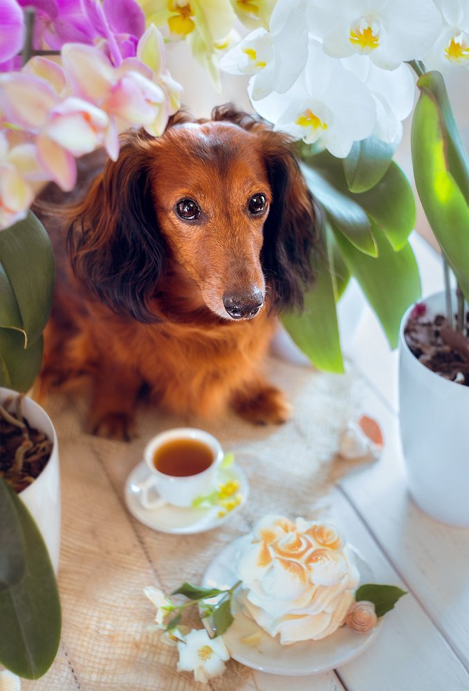 Фотография автора Marina Montale