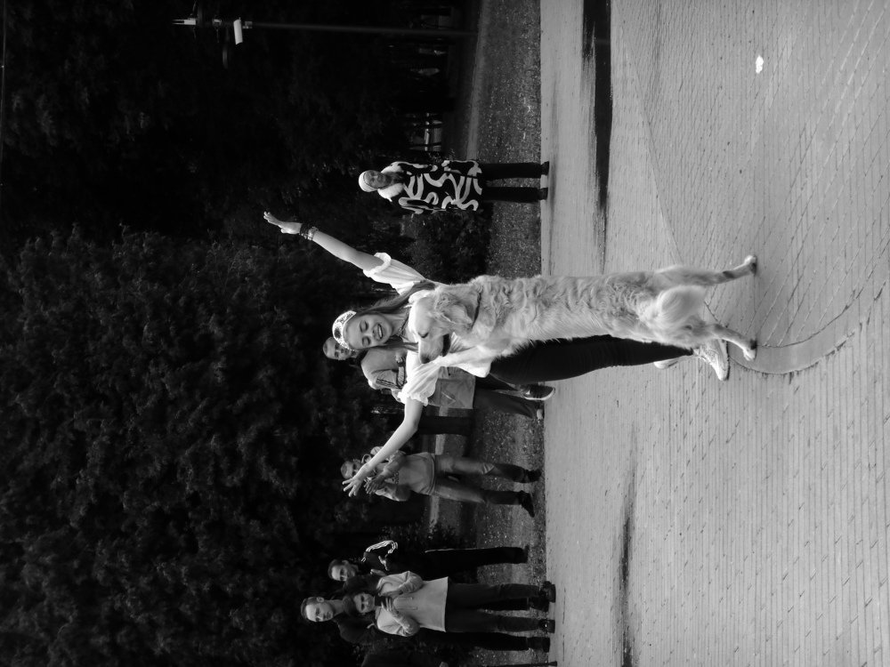 Выступление федерации спортивного собаководства.