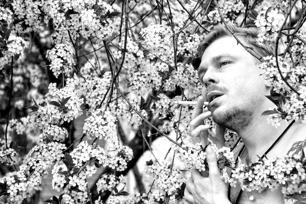 Один раз в год сады цветут