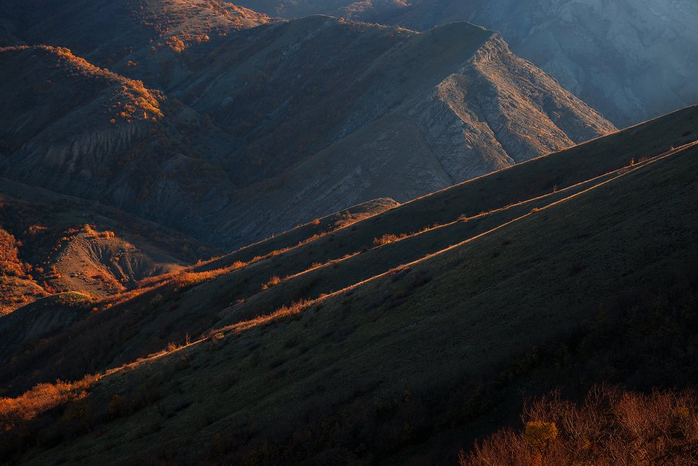 Холмистое утро Зеленогорья