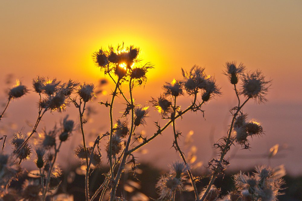 Photograph by 