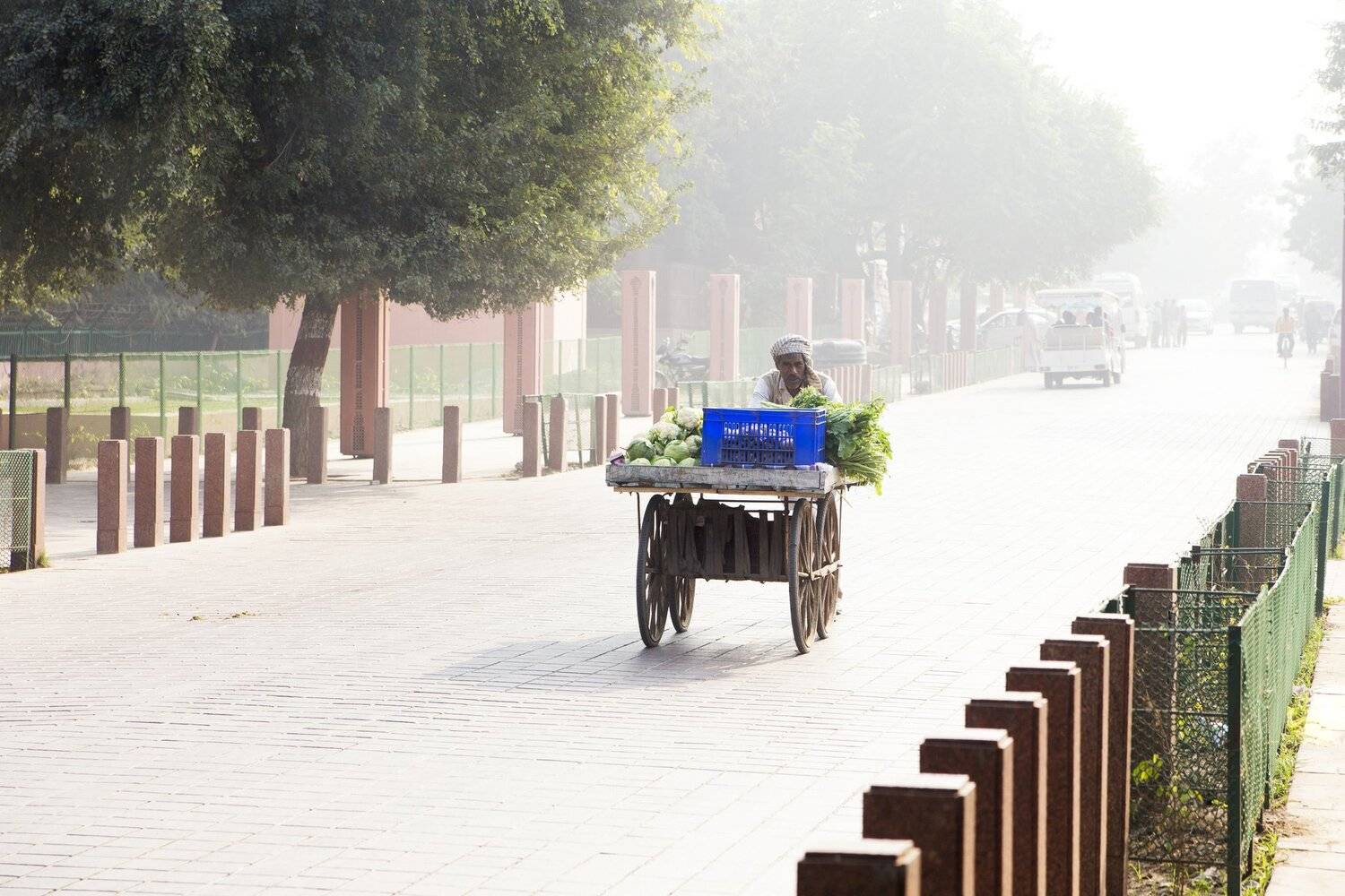 Продавец овощей