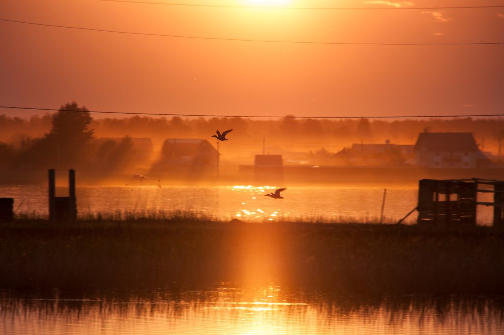 Закатный час