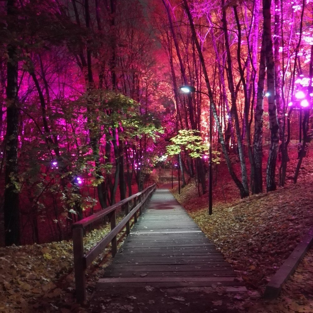 Magical park