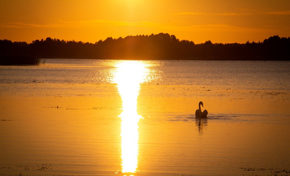 Рассвет над озером