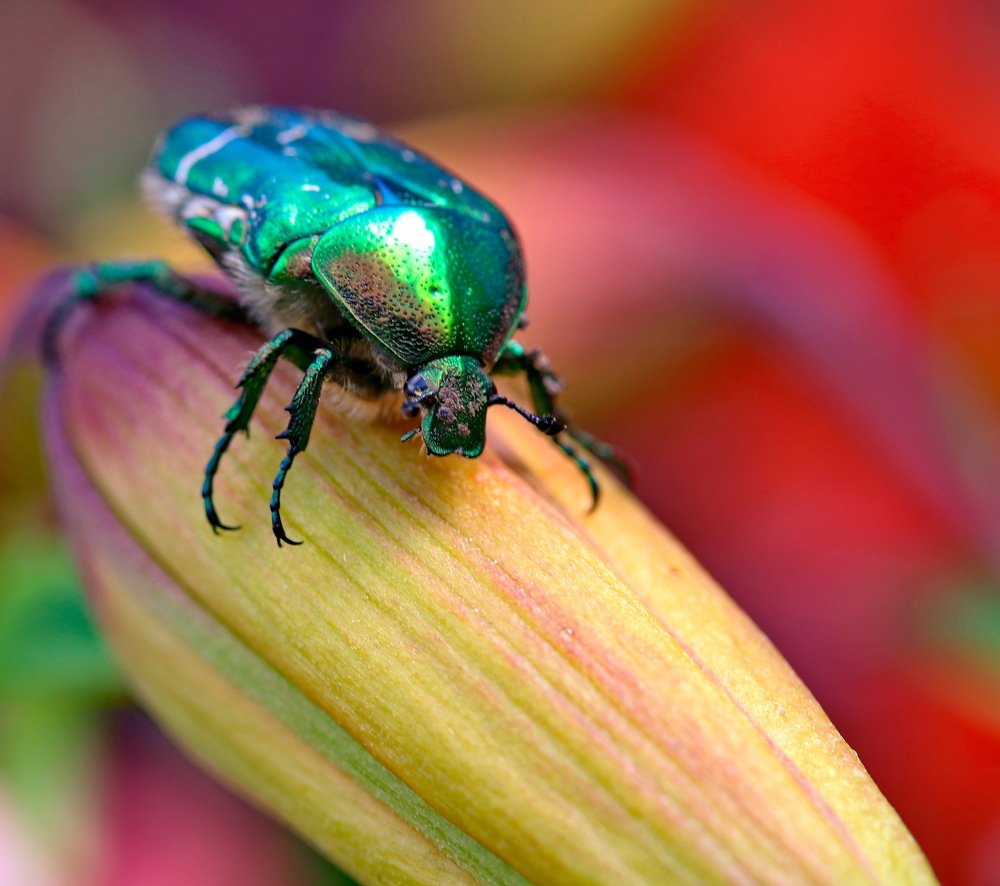 Photograph by Игорь Осипов