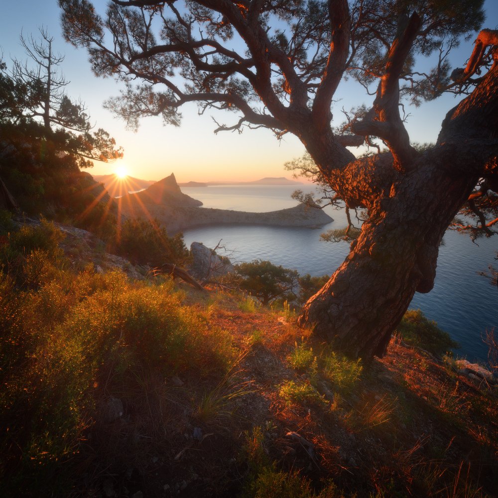 Тропинками Нового света