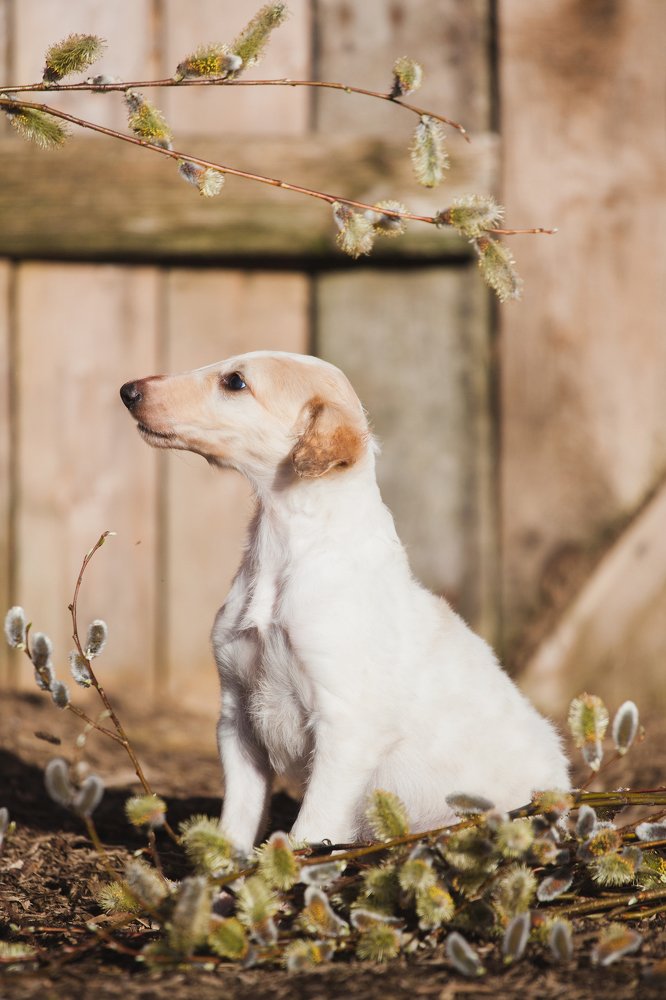 Photograph by Ирина Богатырева