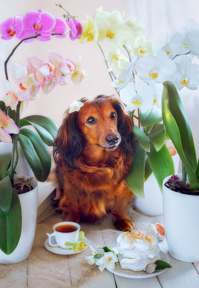 Фотография автора Marina Montale