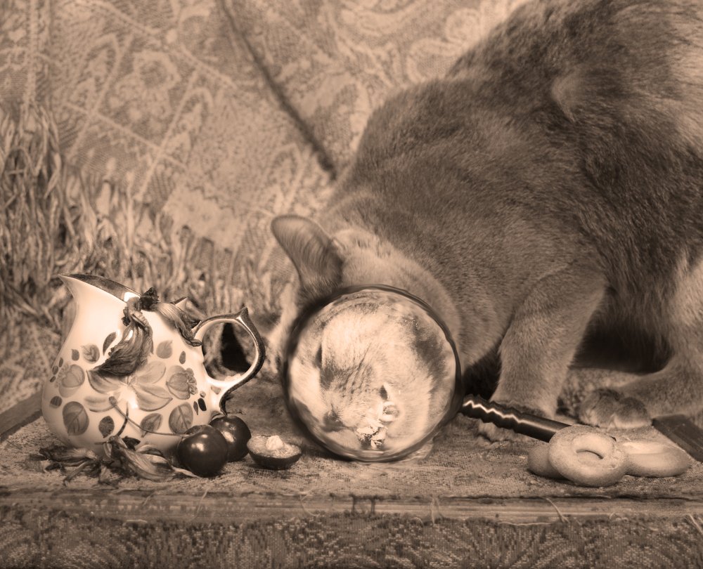 Photograph by Михаил Глазырин