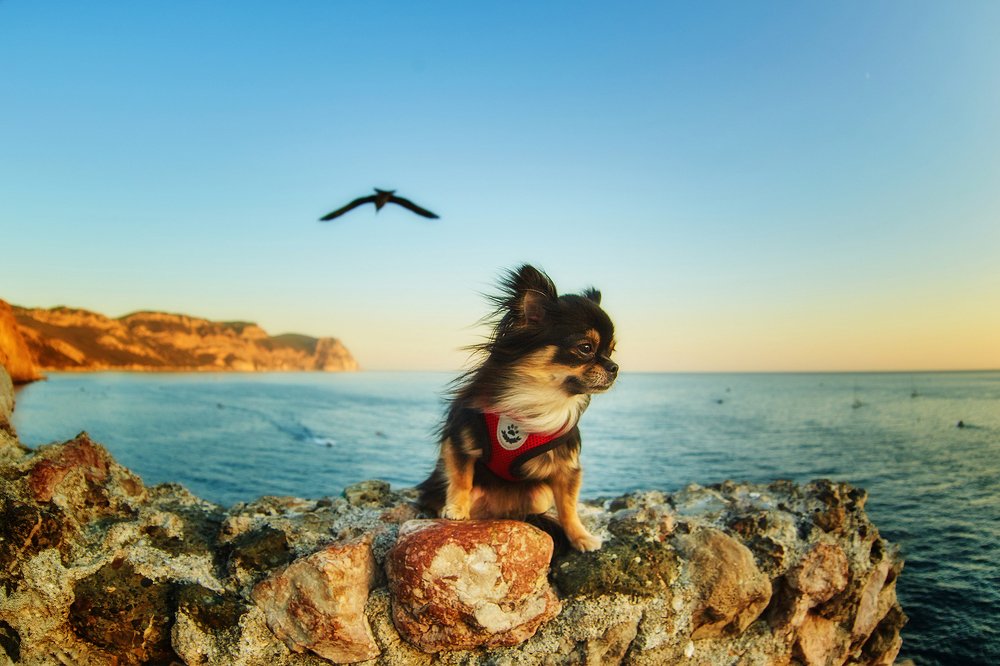 Сказочный закат.