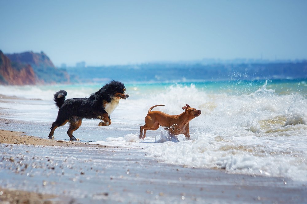 Игры с морем.