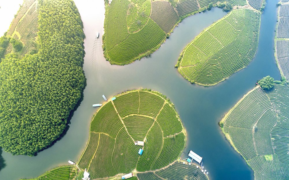 Ecotourism island of Thanh Chuong tea island