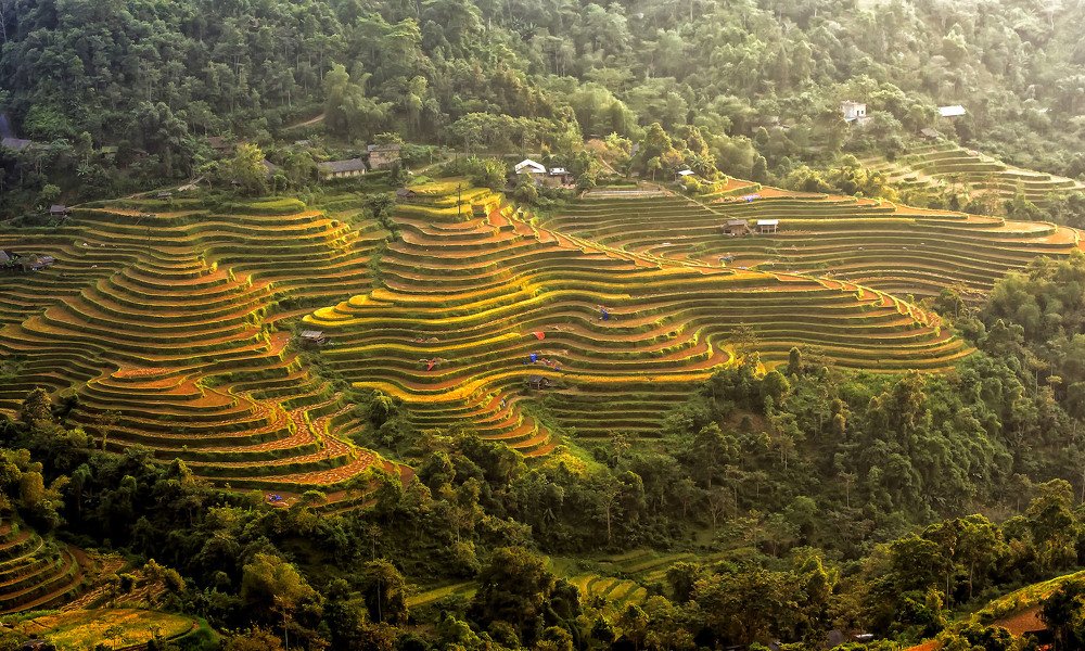 Land color after harvest