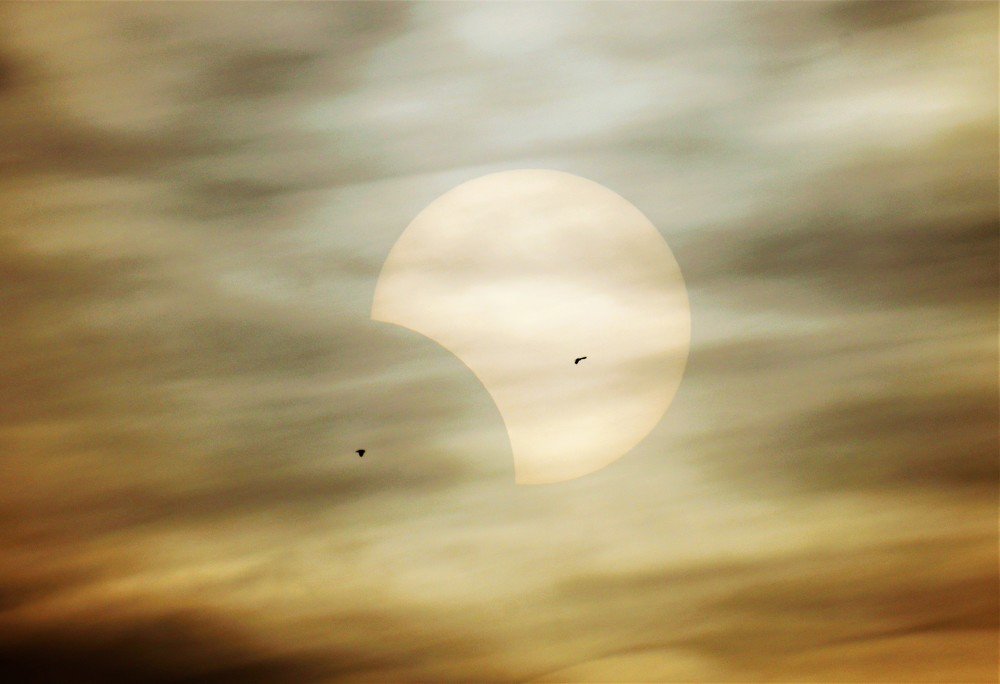 Solar eclipse in Brazil in the sunset