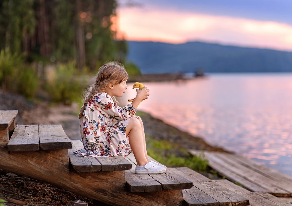 Утиные истории