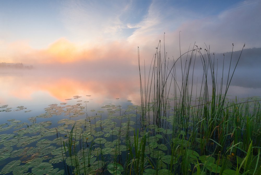 Природа просыпается.