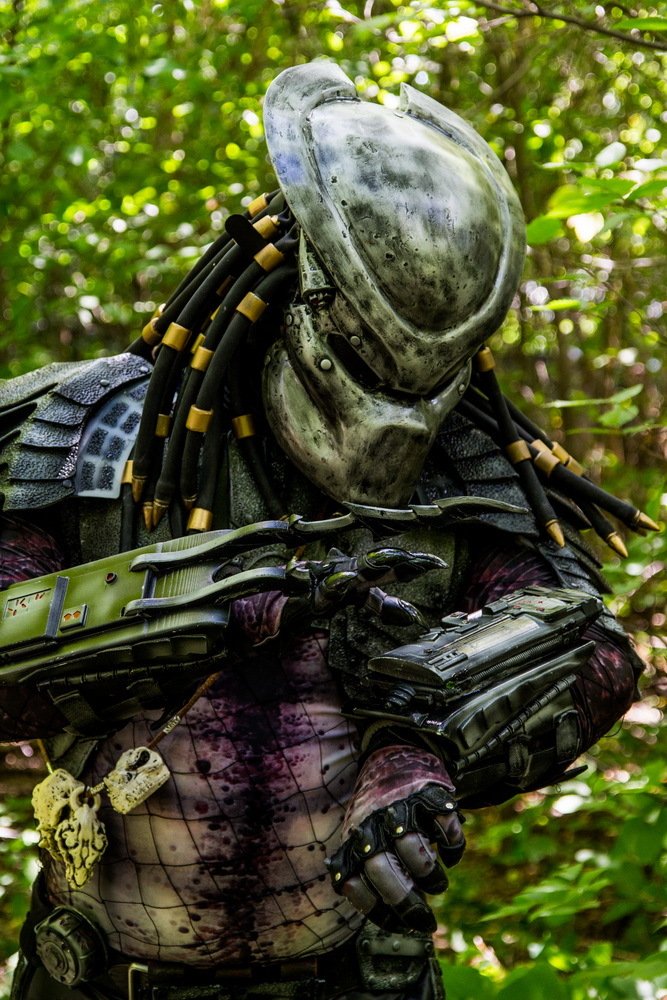 Хищник на охоте