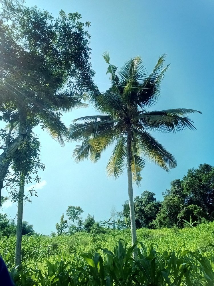 very beautiful village