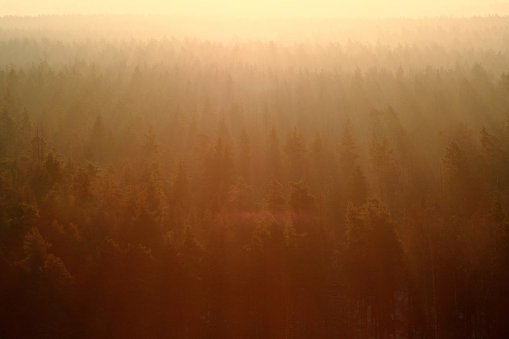 Ядерный рассвет