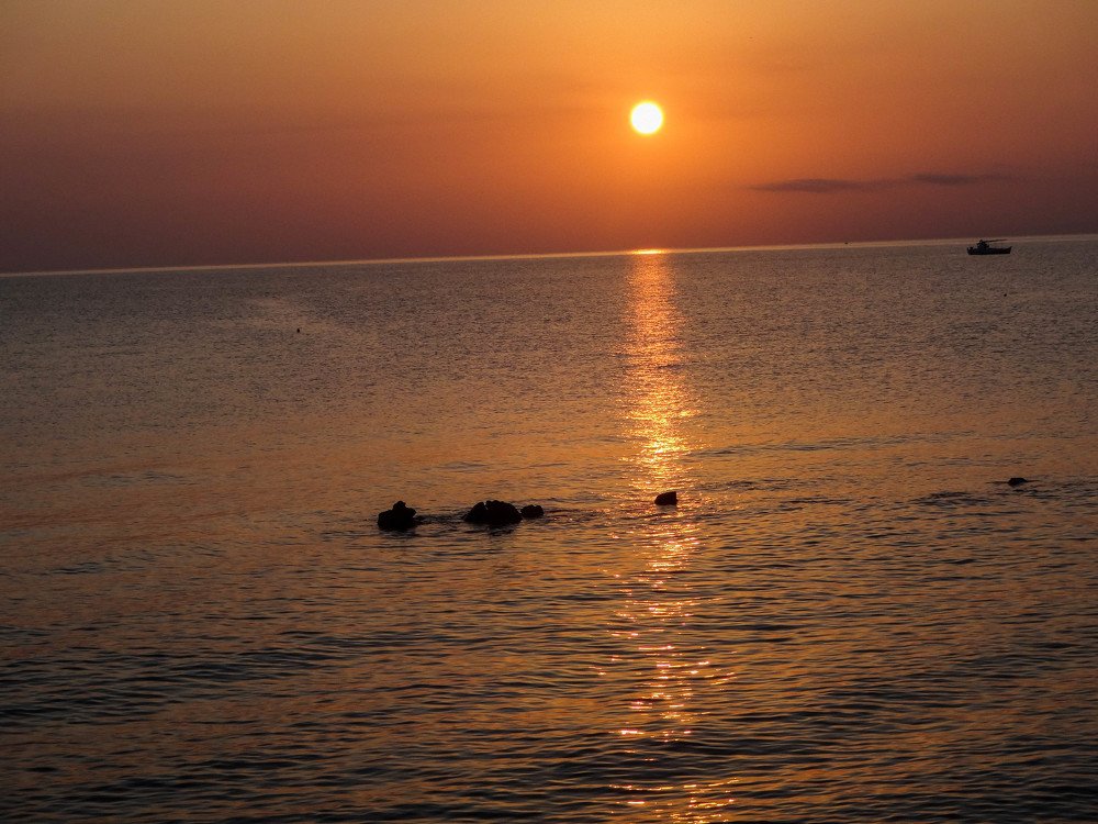 Photograph by Meier Zorica