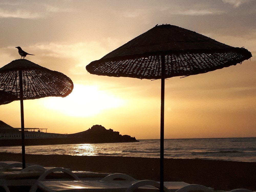 Always look on the bright side of life