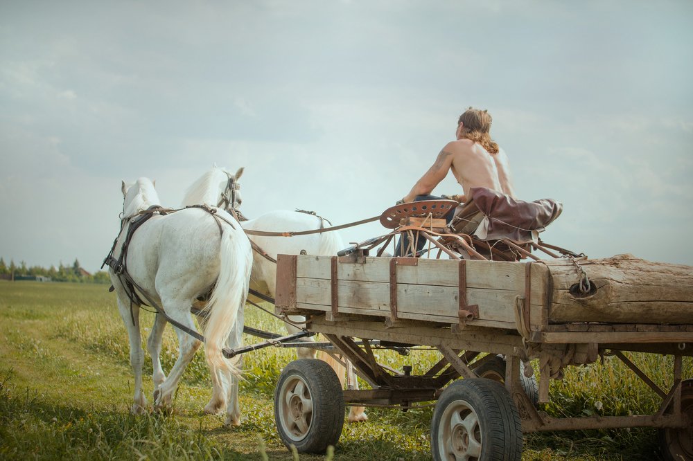 Сладость бытия или сельские будни.