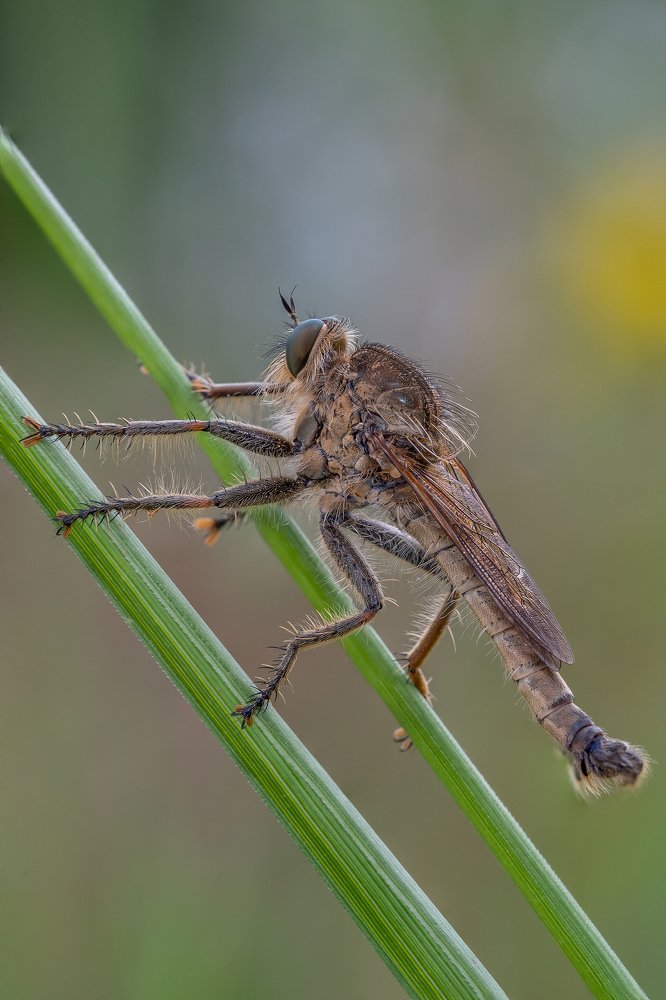 Photograph by Сергей Троицкий