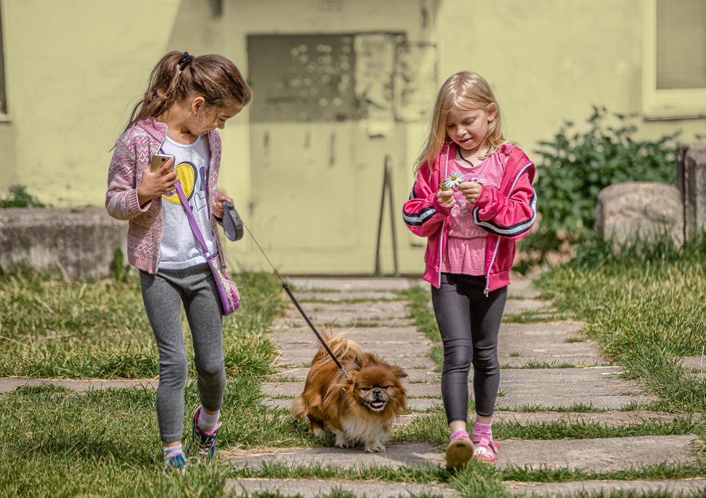 Дети с собачкой