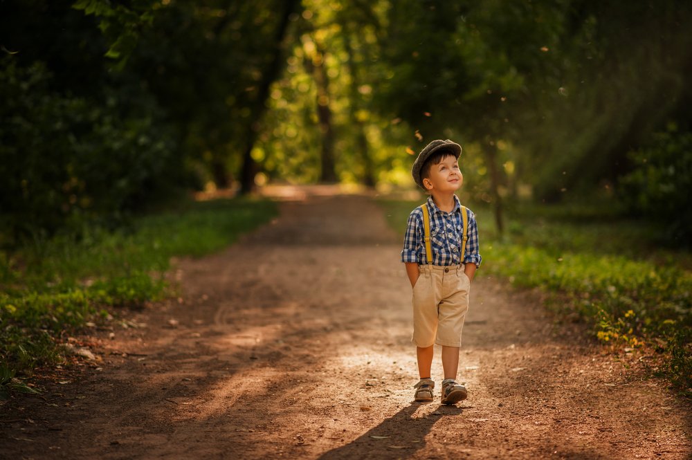 Летняя прогулка