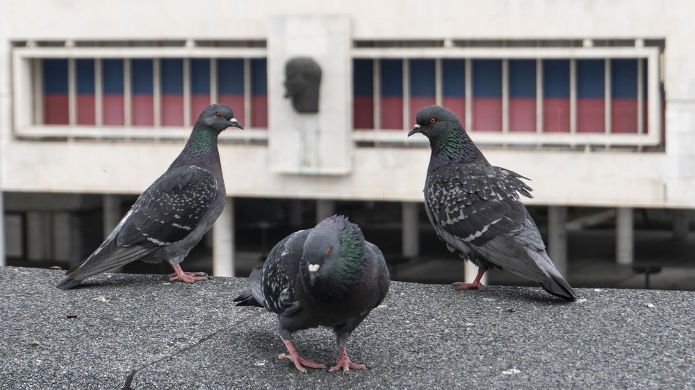 Трое и Ленин