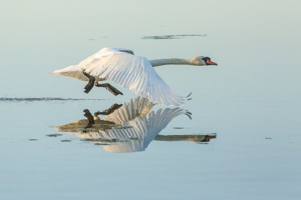 Photograph by Алексей Кашин